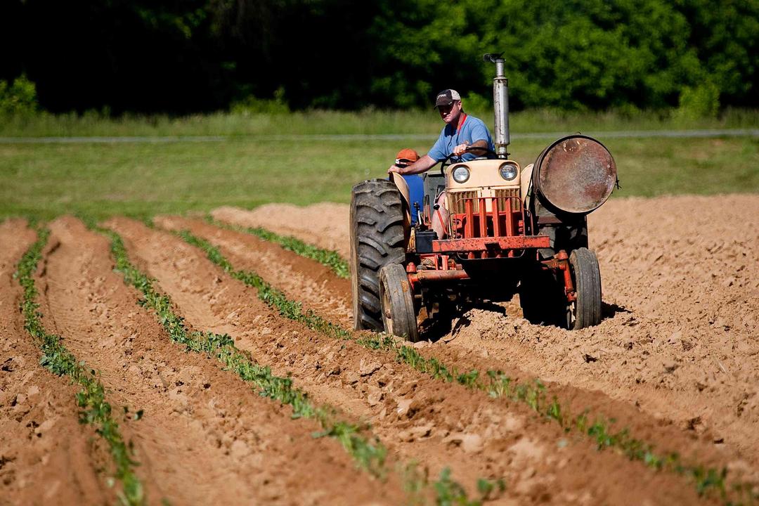 Aposentadoria rural benefício campo agricultor